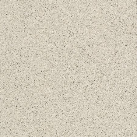 Shaw Floors Nfa/Apg On The Brink II Etched Glass