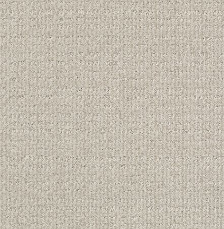 Shaw Floors Nfa/Apg Craftsman Quiet Moment