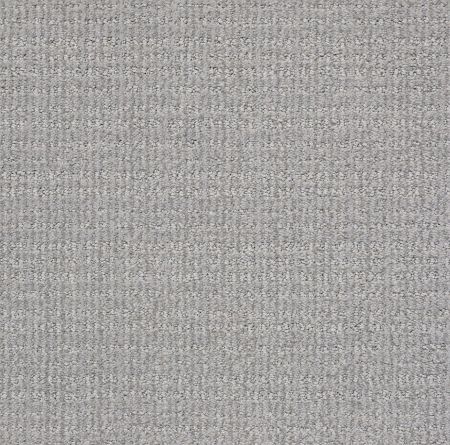 Shaw Floors Nfa/Apg Craftsman Silver Springs