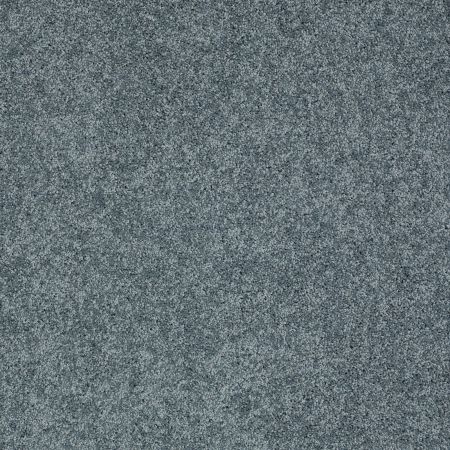 Shaw Floors Nfa/Apg Marlow I Oceanside