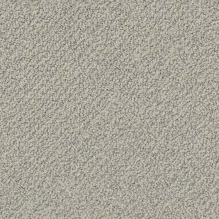 Shaw Floors Nfa/Apg Culture Club Slate