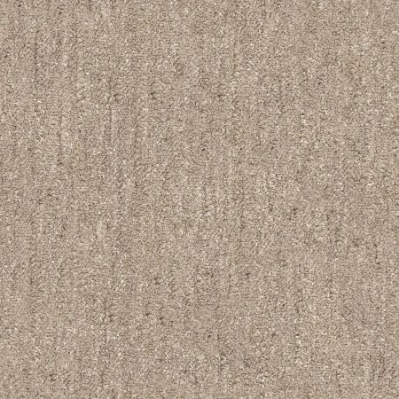 Shaw Floors Nfa/Apg Natural Escape Slate
