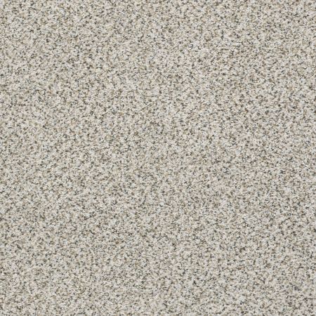 Shaw Floors Mixed Elegance I Snowbound