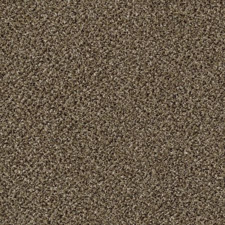 Shaw Floors Stunning II 12 Pinecone