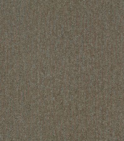 Shaw Floors Nfa Top Pick Mahogany