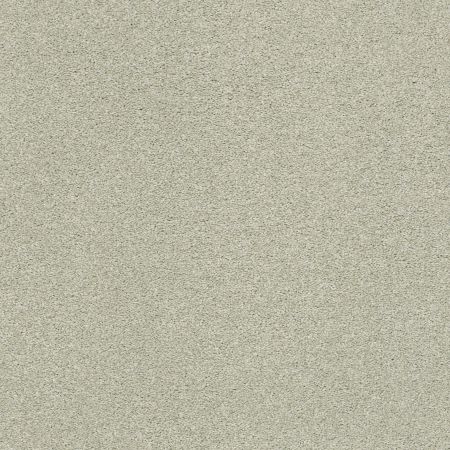 Shaw Floors Nfa/Apg Subtle Charm I Willow Tree (s)