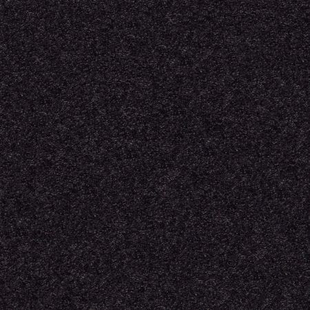 Shaw Floors Nfa/Apg Subtle Charm I Movie Night (s)