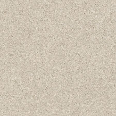Shaw Floors Nfa/Apg Subtle Charm II Sand Castle (s)