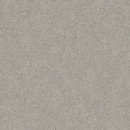 Shaw Floors Nfa/Apg Subtle Charm II Restful Day (s)
