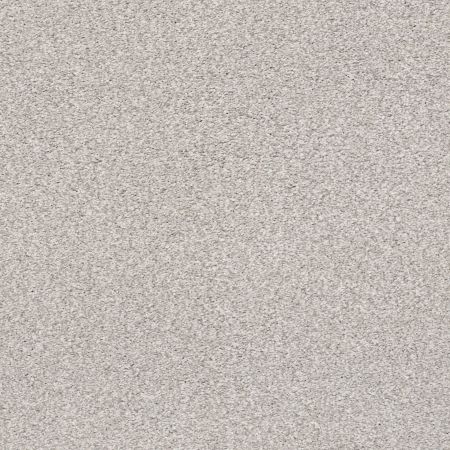 Shaw Floors Nfa/Apg Subtle Charm Tonal I Dreamy (t)