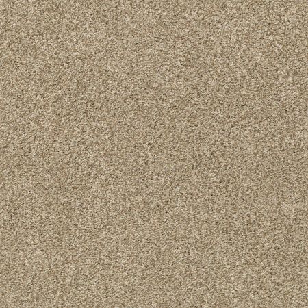 Shaw Floors Nfa/Apg Subtle Charm Tonal I Honey Tea (t)
