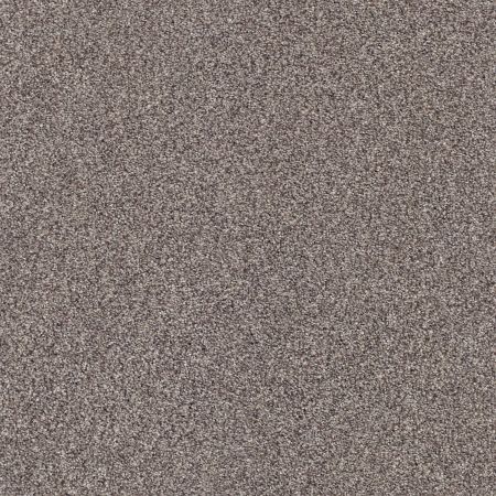 Shaw Floors Nfa/Apg Subtle Charm Tonal I Lilac Field (t)