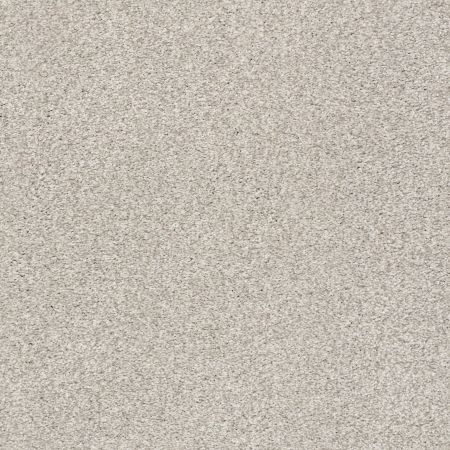 Shaw Floors Nfa/Apg Subtle Charm Tonal II Chill In The Air (t)