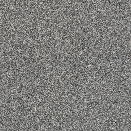 Shaw Floors Nfa/Apg Subtle Charm Tonal II Lighthouse Shadows (t)