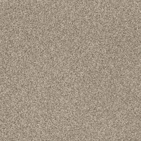 Shaw Floors Nfa/Apg Subtle Charm Tonal II Dockside View (t)