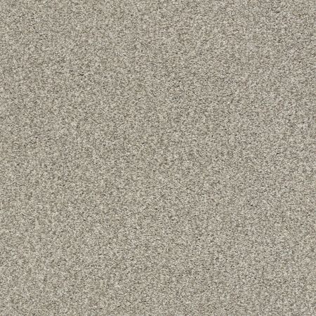 Shaw Floors Nfa/Apg Subtle Charm Tonal II Back Patio (t)