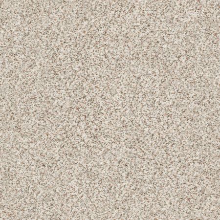 Shaw Floors Nfa/Apg Subtle Charm Accent I New Perspective (a)