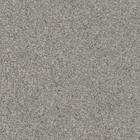 Shaw Floors Nfa/Apg Subtle Charm Accent II Long Bridge (a)