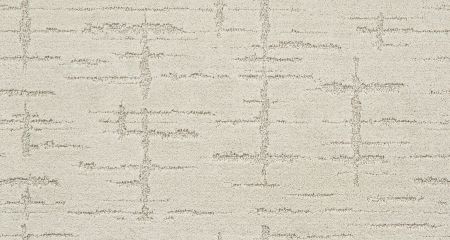 Shaw Floors Nfa/Apg Refined Affect Awaken