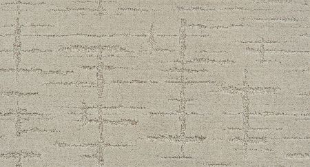 Shaw Floors Nfa/Apg Refined Affect Soft Spoken