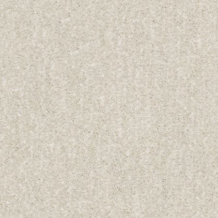 Shaw Floors Nfa/Apg Elation Soft Spoken