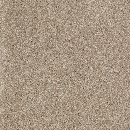 Shaw Floors Nfa/Apg Uncomplicated Mushroom