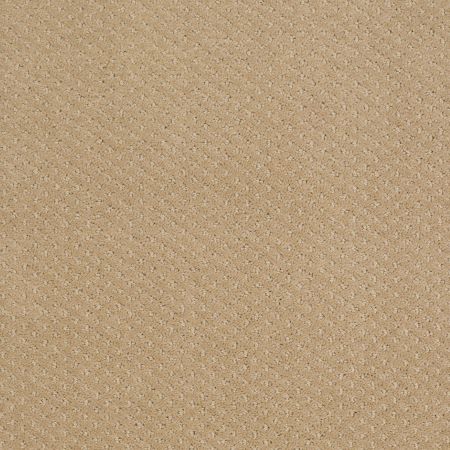 Shaw Floors Nfa/Apg Meaningful Design Natural Wood