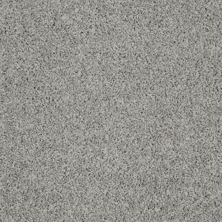 Shaw Floors Nfa/Apg Graceful Twist Elephant Gray
