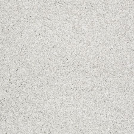 Shaw Floors Nfa/Apg Graceful Texture Tonal Aspen Texture