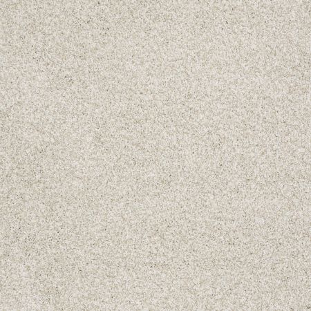 Shaw Floors Nfa/Apg Elegant Texture Tonal Denali Texture