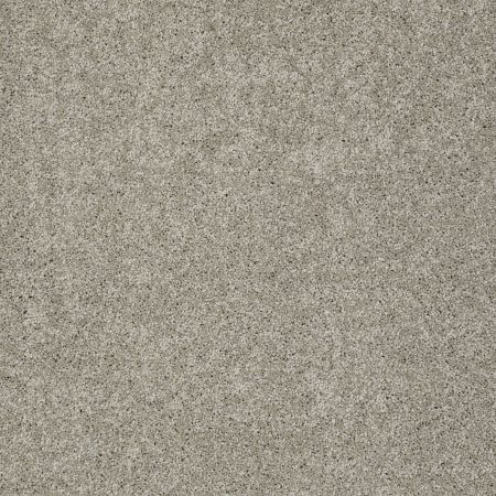 Shaw Floors Nfa/Apg Detailed Elegance II Rocky Coast
