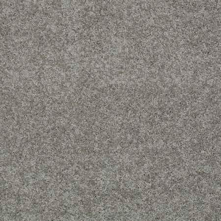 Shaw Floors Nfa/Apg Detailed Elegance II Fog