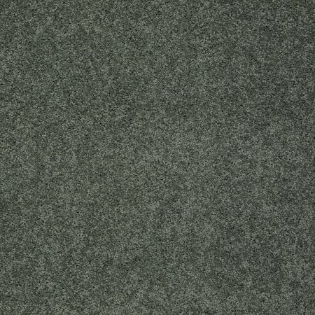 Shaw Floors Nfa/Apg Detailed Elegance III Bay Laurel