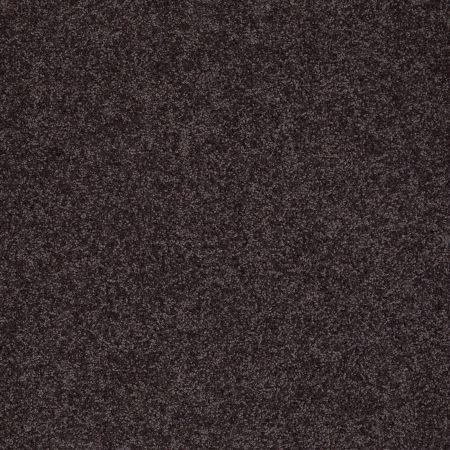 Shaw Floors Nfa/Apg Detailed Elegance III Urban Loft