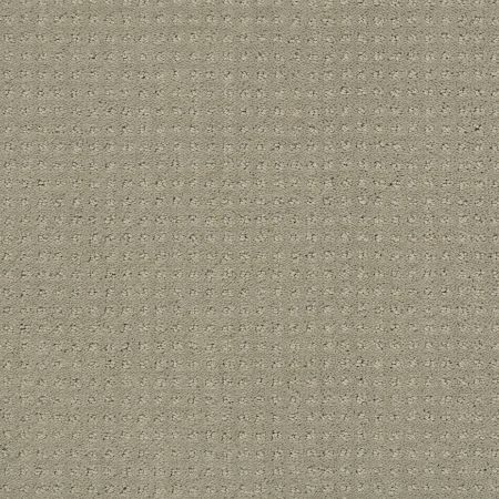 Shaw Floors Nfa/Apg Detailed Elegance Pattern Ash