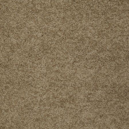 Shaw Floors Nfa/Apg Detailed Elegance I Twig