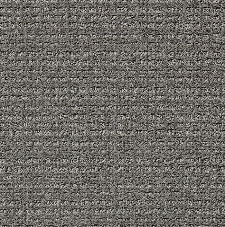 Shaw Floors Nfa Common Ground Metal