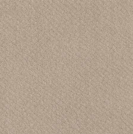 Shaw Floors Nfa Mod Beauty Butter Cream