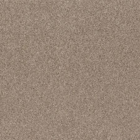Shaw Floors Pet Perfect Plus Calm Embrace I Beige Bisque