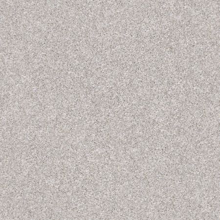 Shaw Floors Nfa Mine To Keep I Soft Fleece