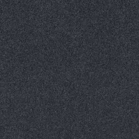 Shaw Floors Nfa Cozy Mist I Deep Sea