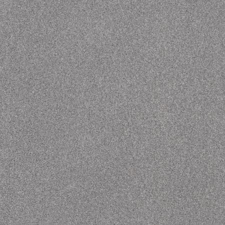 Shaw Floors Nfa Cozy Mist I Cool Harmony