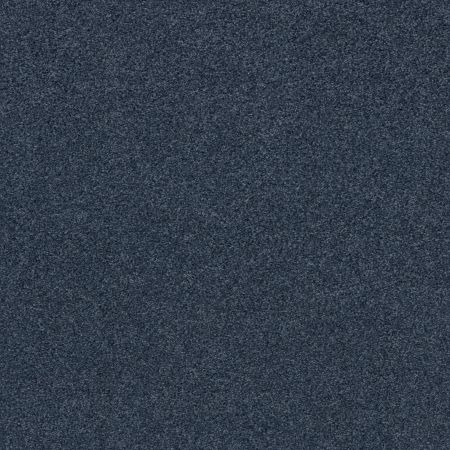 Shaw Floors Nfa Cozy Mist II Ocean Villa