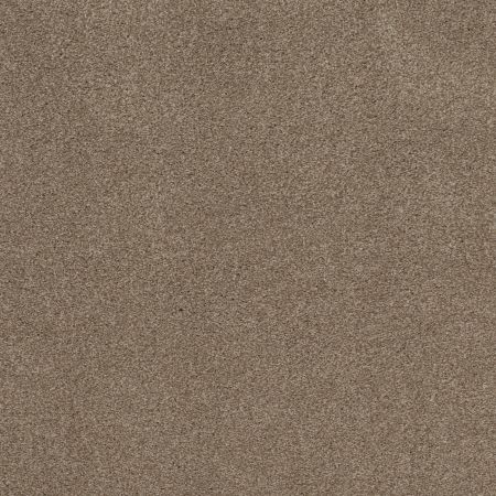Shaw Floors Nfa Cozy Mist II Tumbleweed