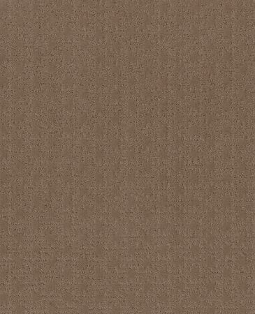 Shaw Floors Nfa Suki Dance Raw Wood
