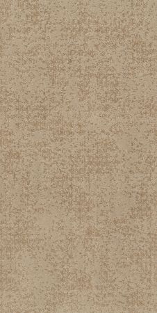 Shaw Floors Nfa Day Bright Natural Beauty