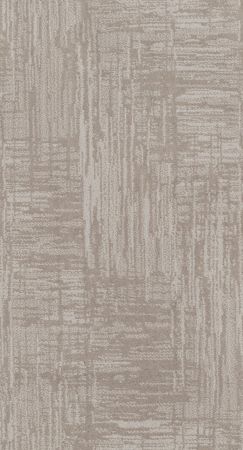 Shaw Floors Nfa Artist Interpretation Baltic Stone