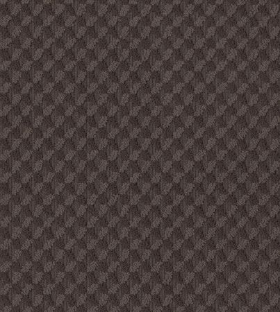 Shaw Floors Nfa Riveting Review Burma Brown