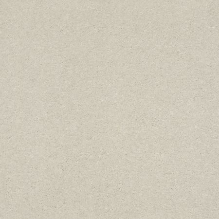 Shaw Floors Nfa Relentless II 12 Minimalist