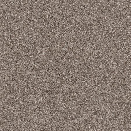 Shaw Floors Nfa Monstera Chestnut